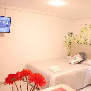 Appartement op de Begane Grond